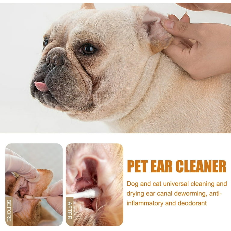Pug ear cleaning solution hot sale