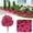 Pink Eucalyptus Artificial Flower Garden Stake, variant on Vivcore Pink Eucalyptus Artificial Flower Garden Stake for Porch Decor and Outdoor Garden Shrubs