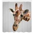 thumbnail image 3 of Ambesonne Animal Shower Curtain, Savannah Wildlife Giraffe, 69"Wx84"L, Brown and Grey, 3 of 5