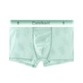 thumbnail image 2 of Men's Ice Silk Boxer Briefs See Through Sheer Underwear Stretch Breathable Boxers, 2 of 8