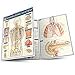 thumbnail image 3 of Endocrine System (Quick Study Academic), 3 of 4