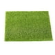 thumbnail image 2 of Jardín de hadas en miniatura Hada realista Jardín de césped artificial Casa de muñecas Jardinería DIY Moss Inevent JJ17317-03, 2 of 6
