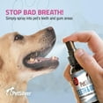 thumbnail image 4 of PetSilver Teeth & Gum Spray for Dogs & Cats, Eliminate Bad Breath, Natural Pet Dental Care Solution, Targets Tartar & Plaque, Clean Teeth Without Brushing, Easy to Apply, Chelated Silver, 4 oz., 4 of 12