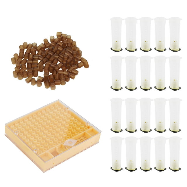 Cage à Abeilles, Mini Cage à Abeilles de Haute Qualité, Apiculteur pour Apiculture à Domicile