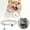 B, variant on Riforla Airtag Cat Air Tag Cat with Bell and Buckle in 3/8 Pet Collars E M