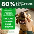 thumbnail image 4 of Greenies Natural Dental Puppy Treats Regular Size, 6 oz Pack (6 Count), 4 of 12