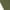 Army Green, variant on Yuzhih Capri Leggings for Women 2024 Summer High Waisted Crop Trousers Exercise Workout Slim Yoga Pants