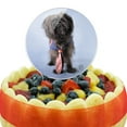 thumbnail image 5 of Acrylic Affenpinscher Puppy Dog with Tie Cake Topper Party Decoration for Wedding Anniversary Birthday Graduation, 5 of 7
