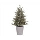 thumbnail image 1 of Celebraciones del árbol de Navidad Misty Allison Pine, LED completo de 4 pies, 1 of 1