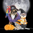 thumbnail image 3 of Reed, Tara 15x15 Black Modern Framed Museum Art Print Titled - Fright Night Friends III-Pirate Pug, 3 of 5