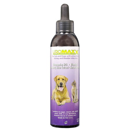 Uromaxx for Cats and Dogs  6 fl oz (Best Pain Meds For Dogs)