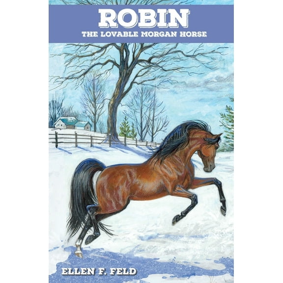 Morgan Horse Robin: The Lovable Morgan Horse, Book 4, (Paperback)