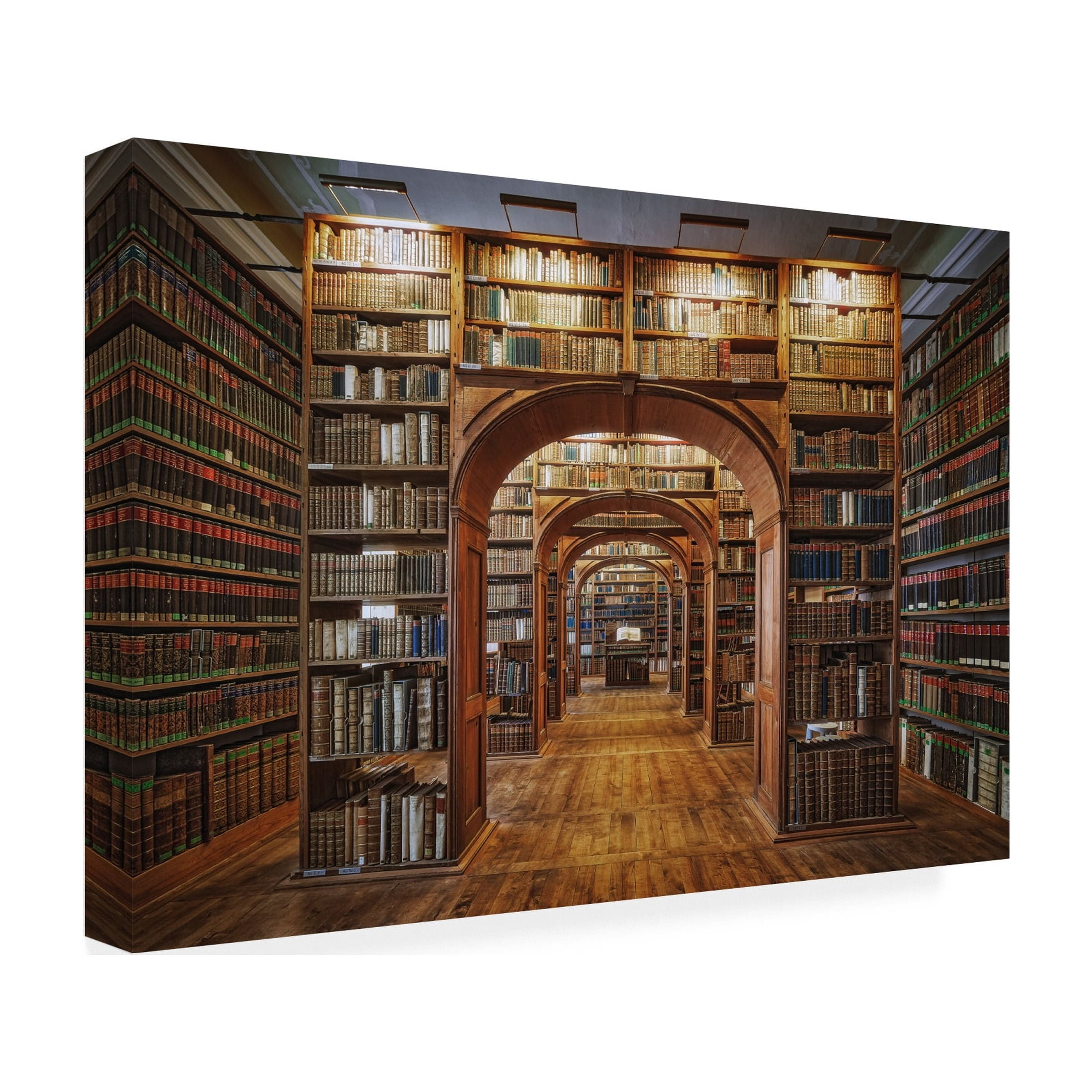 Patrick Aurednik 'Upper Lausitzian Library Of Sciences' Canvas Art