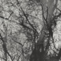 Grouper - Way Their Crept - Music & Performance - Vinyl