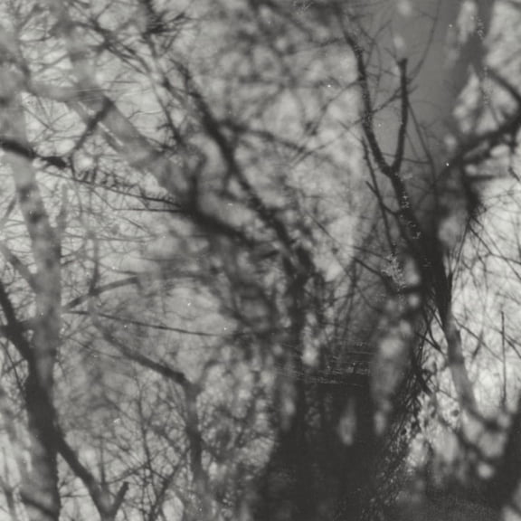 Grouper - Way Their Crept - Music & Performance - Vinyl