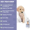 thumbnail image 2 of Champú y acondicionador para cachorros We Love Doodles 240 ml, 2 of 6