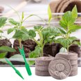 thumbnail image 1 of 50 piezas de gránulos de turba profesional bloque de piso de bota de planta tapones Semir vivero de jardín ambiental Jiffy LingWen 8390612170072, 1 of 1