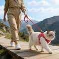 thumbnail image 4 of Escape Proof Cat Harness And Leash Adjustable Soft Mesh Vest With Reflective Strips For Walking, 4 of 4