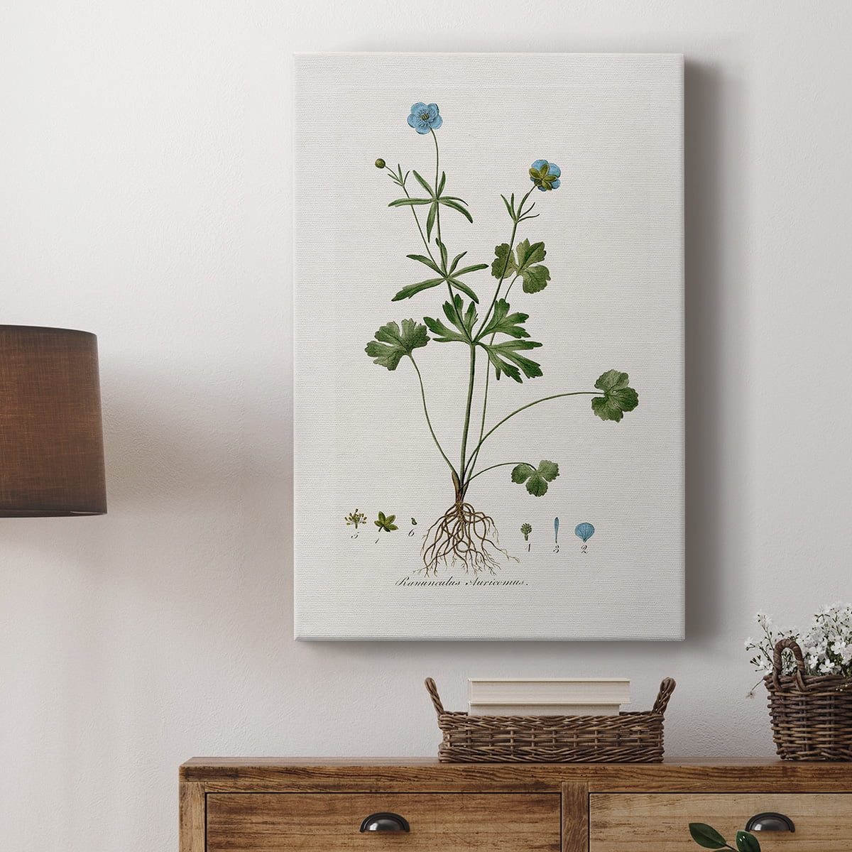 Buttercup Study Premium Gallery Wrapped Canvas - Ready to Hang