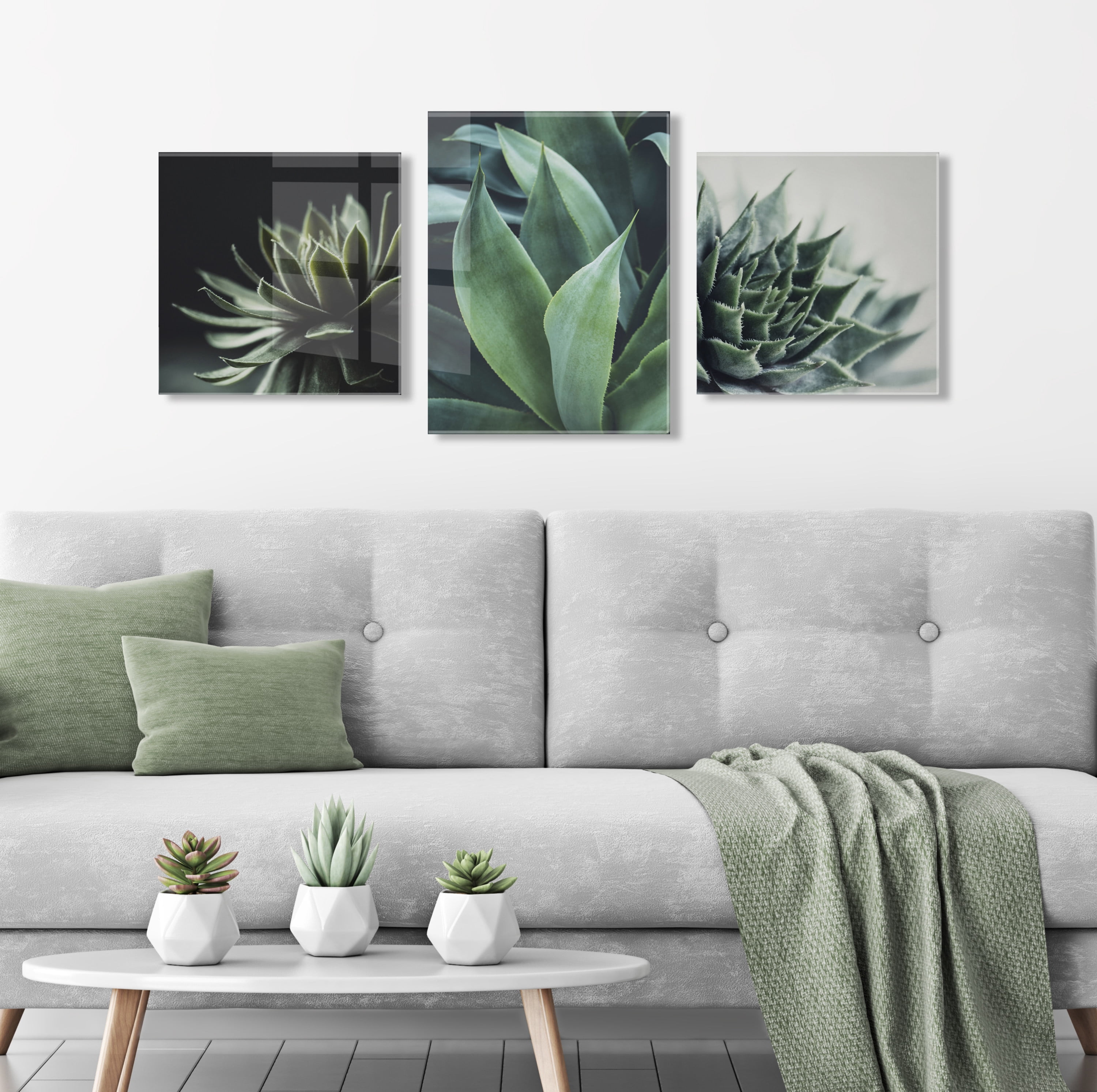 Kate and Laurel Radical Succulent Floating Acrylic Art by Emiko and Mark Franzen of F2Images, 23x23, Decorative Unique Succulent Art for Wall