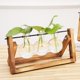 thumbnail image 4 of Soporte de madera Deco con jarrón de vidrio hidropónico, jarrón colgante, jarrón de flores, jarrón de mesa, jarrón decorativo, 4 of 4