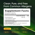 thumbnail image 3 of NatureBell Phosphatidylserine 500mg - 240 Capsules - Brain Health Support for Men & Women - Bioavailable Sunflower Lecithin - Easy-to-Swallow Supplement - Gluten-Free - 80 Servings, 3 of 8