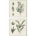 thumbnail image 1 of Great Art Now Victorian Garden Chart by Wild Apple Portfolio 2 Piece Canvas Art Set Each 14"W x 14H, 1 of 3