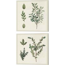 Great Art Now Victorian Garden Chart by Wild Apple Portfolio 2 Piece Canvas Art Set Each 14"W x 14H