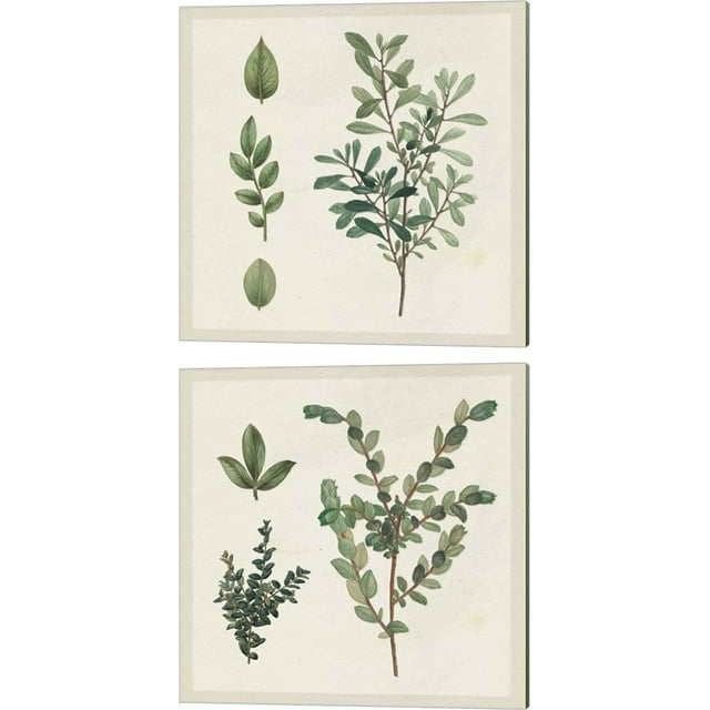 Great Art Now Victorian Garden Chart by Wild Apple Portfolio 2 Piece Canvas Art Set Each 14"W x 14H