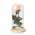 thumbnail image 1 of Lámpara LED Zhivalor con flor de rosa decoración del hogar color rosa Champán, 1 of 8
