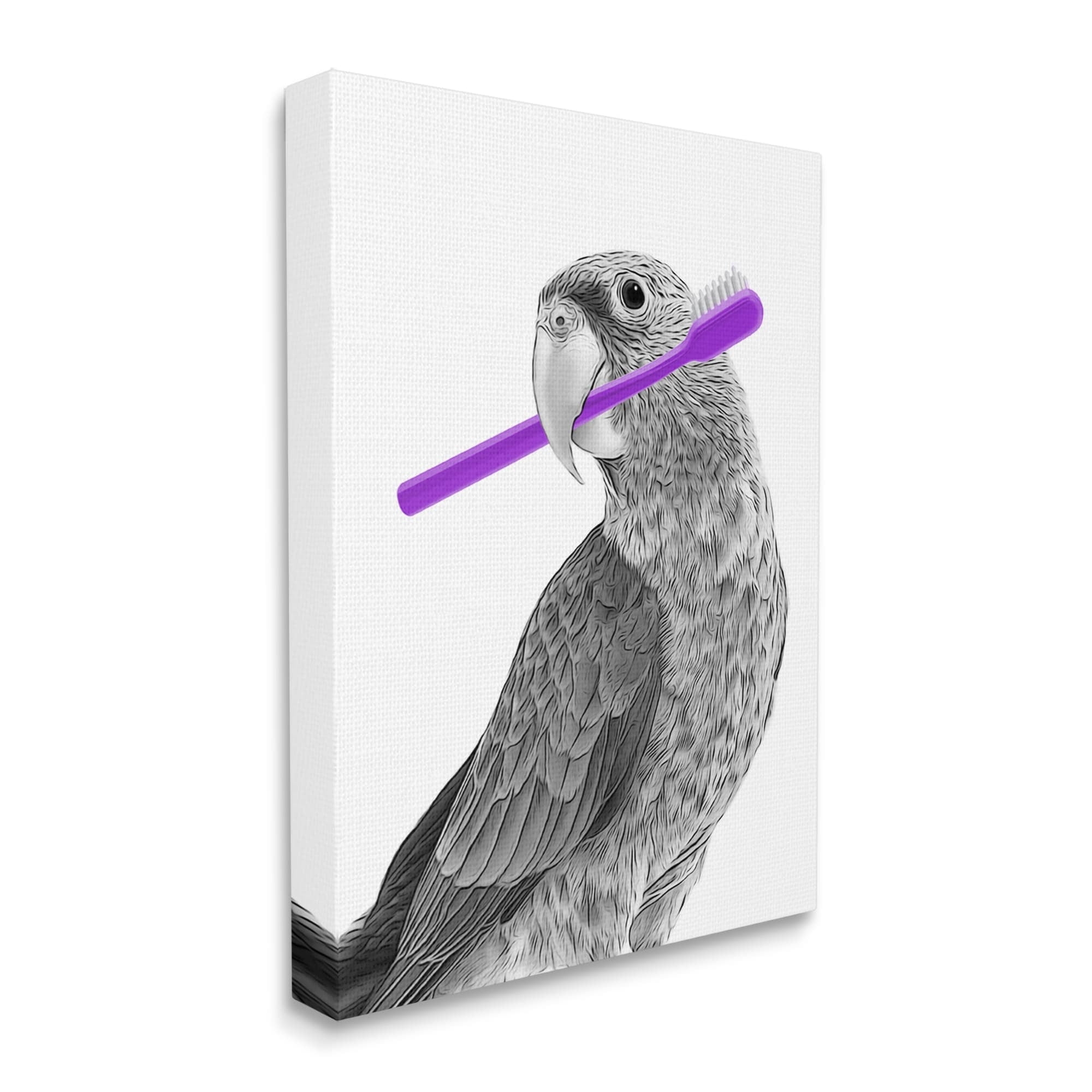 Stupell Industries Parrot With Toothbrush Funny Bird Animals & Insects Painting Gallery Wrapped Canvas Print Wall Art