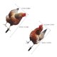 thumbnail image 5 of UPOUART 2Ud Con Estaca De Acrílico En Forma De Gallina Para Jardín Y, 5 of 6