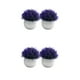 thumbnail image 4 of Bewildely 2 uds de plantas de simulación en maceta de plástico que añaden belleza y estilo a cualquier entorno pastos falsos para decoración púrpura 2Conjunto, 4 of 6
