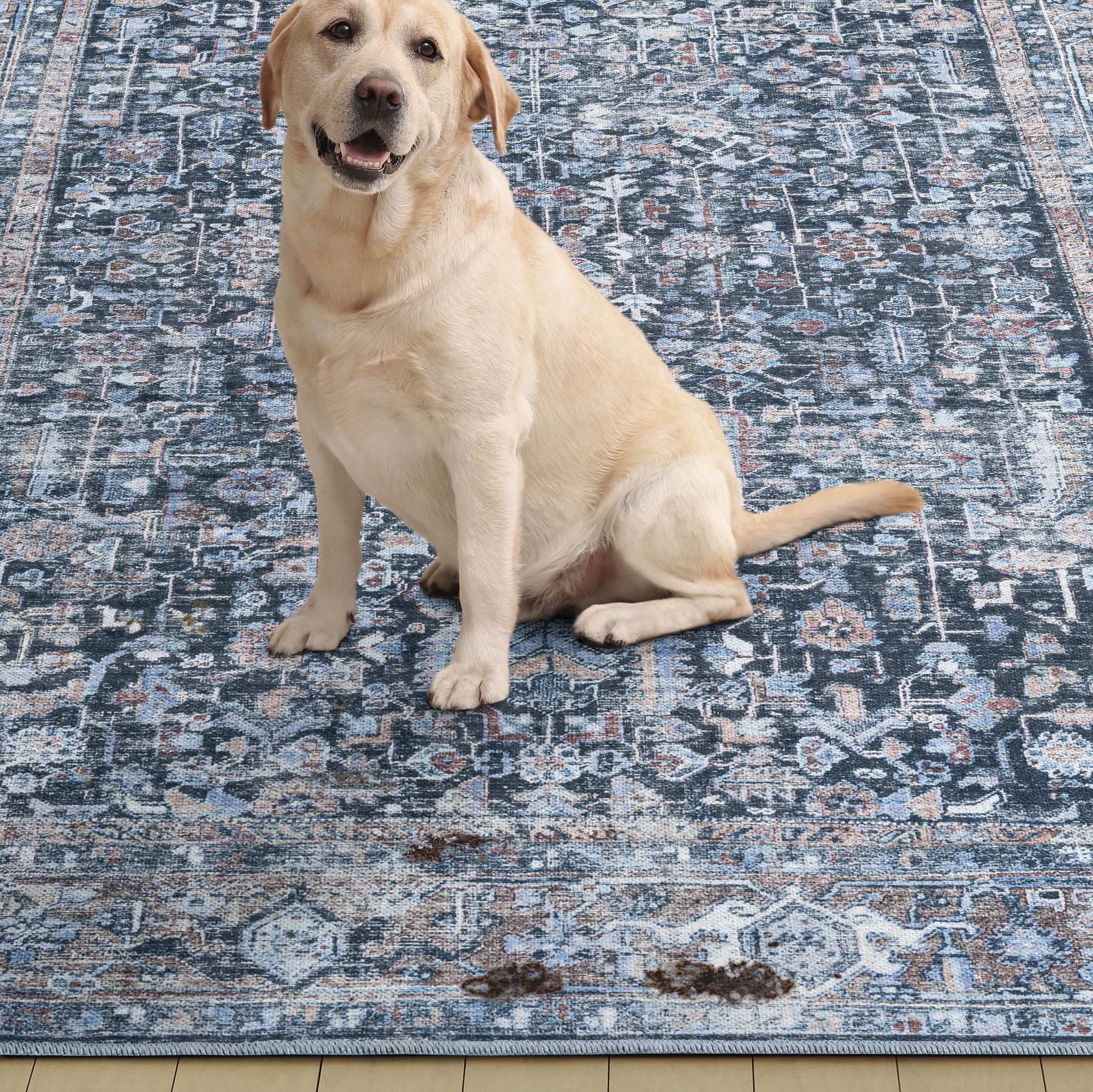 Everwash™ Callaghan Edith Distressed Vintage Machine Washable Area Rug, Blue, 3'11"x5'6"