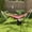 White#4, variant on Garden Accessories Outsunny Patio Hammock Chair with U Shape Stand, Outdoor Hammock Swing Hanging Lounge Chair with Side Pocket, Black/Cream White,Garden Decorative Accessories
