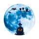 thumbnail image 3 of Inteprter Pegatina de pared decoración de Halloween Luna ventana calcomanía luminosa 3D papel tapiz autoadhesivo para decoración de fiesta en casa Kits de decoración para fiestas ROTURA Inteprter HA007412-02, 3 of 6