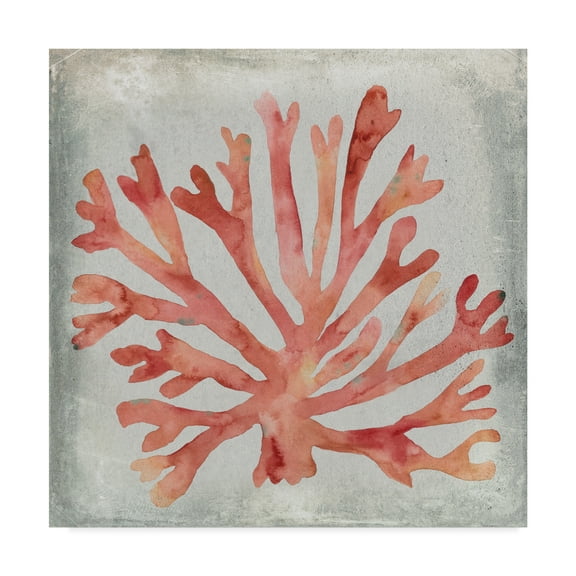 Trademark Fine Art 'Watercolor Coral III' Canvas Art by Megan Meagher