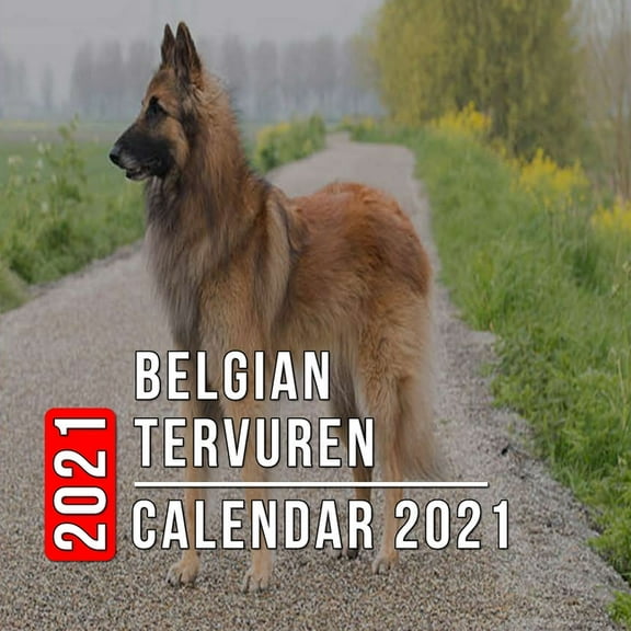 Belgian Tervuren Calendar 2021: 12-month mini Calendar from Jan 2021 to Dec 2021, Cute Gift Idea For Belgian Tervuren Lovers Or Owners Men And Women - Pictures in Every Month (Paperback)