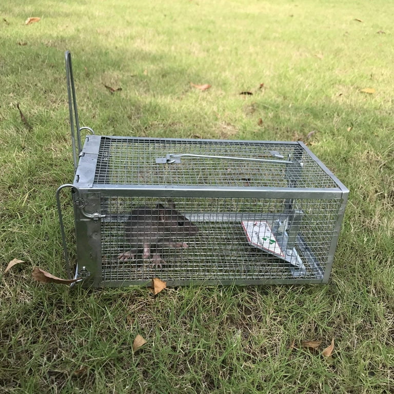 Fugacal Mouse Trap, Metal Rat Trap Cage Small Live Animal Pest Rodent Mouse  Control Bait Catch Home
