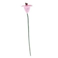 thumbnail image 2 of Miniaturas de 1/12 Arcilla y alambre Lily, 2 of 7