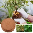 thumbnail image 4 of HongHeng Clearance Under $2.00 Plant Coir Fiber Bricks Plant Cultivation Growing Nutrient Dirt Potting Grass Flower Fertilizer, 4 of 9