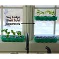 thumbnail image 2 of Window Garden Basil Herb Kit - Grow Your Own Food Easily & Fun, 2 of 7