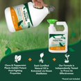 thumbnail image 3 of Recambio de aerosol Vet's Best Flea Tick Yard, 2830 ml, natural, 3 of 9