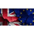 thumbnail image 1 of Plaque d'Immatriculation Drapeau du Brexit Fracturé, 1 of 2