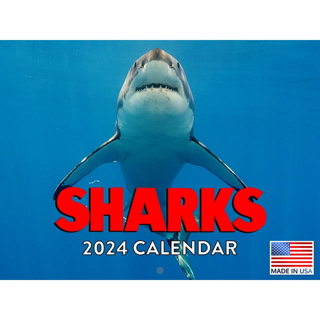Shark Calender Sharks Gifts 2024 Wall Calendar Shark Calendar 2024 Call