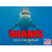 Shark Calender Sharks Gifts 2024 Wall Calendar Shark Calendar 2024