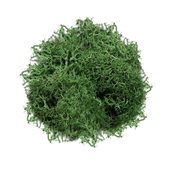 10g Artificial Fake Craft Moss,Natural Look Faux Moss Alternative for Indoor Plants,Real Touch Moss for Potted Plant Fairy Garden Vase Filler Terrarium Centerpieces Forest Style Decor,Green
