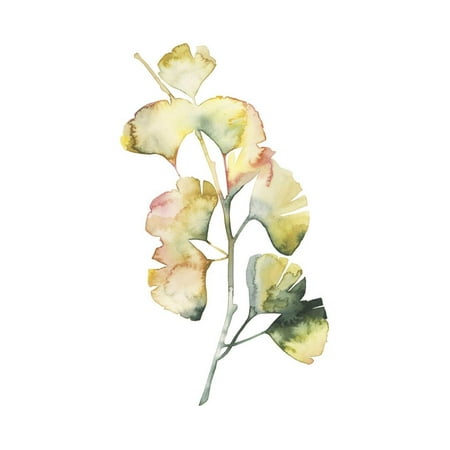 Maidenhair Shell - Maidenhair Branch I Print Wall Art