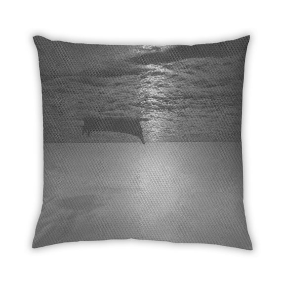 Ahgly Company Indoor Square Contemporary Throw Pillow, 18 inch by 18 inch
