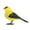 Yellow, variant on LLQkigsxse 3 Months Game Robot Bird Singing and Chirping Bird Toy Simulate The Chirping Of Birds Battery Operated Realistic Singing Chirping Birds for Home Decoration Li